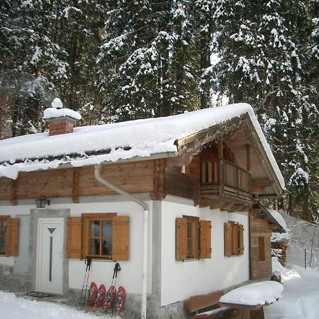 Pointhaeusl Villa Pfarrwerfen Dış mekan fotoğraf